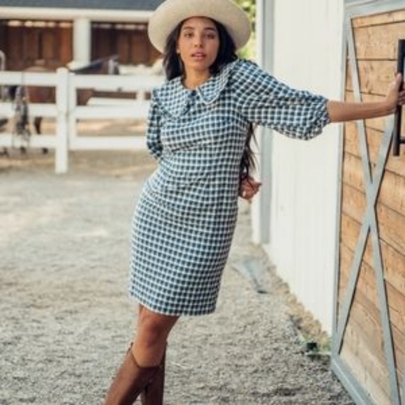 JESSAKAE Blue Gingham Plaid Dress Collar Puff Sleeve Textureed Cottage Country L - Picture 4 of 6